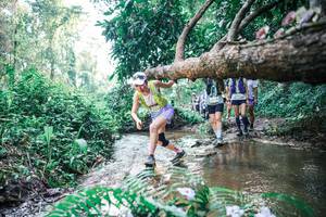 BIB: 
                            <button type="button" onclick="openModal(25455091)" class="btn btn-primary btn-sm float-right btn-popup" data-toggle="modal" data-target=".modal-high-quality">
                        <i class="fas fa-shopping-cart"></i> Add to Cart
                    </button>
                                            <button type="button" onclick="isThisMe(25455091, true)" class="btn btn-success btn-sm float-right btn-popup btn-isme hidden" data-toggle="tooltip" data-placement="bottom" title="นี่คือรูปของคุณใช่ไหม คลิกที่นี่เพื่อเอาเข้าอัลบั้ม">
                        <i class="fas fa-plus"></i> Add to album
                    </button>
                    <button type="button" onclick="isThisMe(25455091, false)" class="btn btn-warning btn-sm float-right btn-popup btn-isnotme hidden">
                        <i class="fas fa-ban"></i> Remove from album
                    </button>